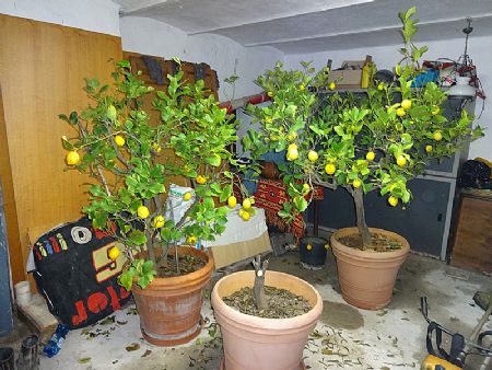 Clicca per i dettagli